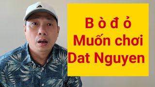 Dat Nguyen Gọi Facetime Cho quotHồng Ngưuquot Nói Chuyện [upl. by Arahset260]