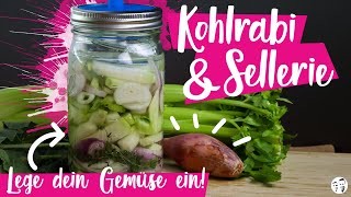 Kohlrabi amp Sellerie fermentieren  Lege dein Gemüse ein SHORT [upl. by Woodhead]