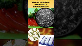 Which Are the 4 Most Common Causes of Foodborne Illnesses [upl. by Odnamla960]