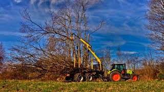 Nisula 205E energy wood head working in the park with professional forestry machines by ONIAR [upl. by Lewse864]