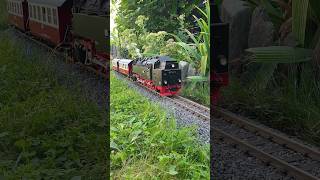 HSB Gartenbahnlok 99 7241 auf der Selketalbahn [upl. by Giulio]