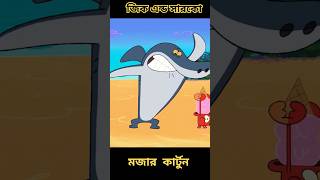 Zig amp Sharko Cartoon for kids l জিক এন্ড সারকো কার্টুন 😱😭 shorts shortsfeed [upl. by Ysle]