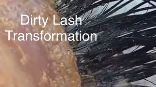 🤩Dirty Eyelash Cleaning beauty lashes cleaning viral satisfying satisfyingvideo eyelashes [upl. by Weeks58]