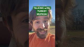 🦃🦃TURKEY CONVERSATION getting turkeys 2 talk turkey farming subscribe viralvideo funny [upl. by Ebeohp]