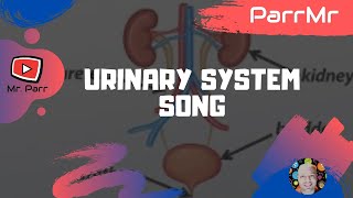 Urinary System Song [upl. by Channing]