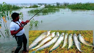 Fishing videos  Wallago Attu catfish catching  Big murral fish hunting  Fishing [upl. by Eldwin]