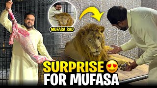 Mufasa ney mujhay pehchannay say inkar kar dia 😱5 din nahi mila 😰 [upl. by Othe649]