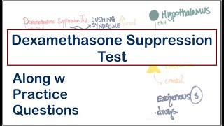 Dexamethasone Suppression Test High dose vs Low dose  Cushing Syndrome  USMLE  MCQs [upl. by Divad815]