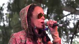 Tuff Like Iron full performance Sierra Nevada World Music Festival June 17 2016 [upl. by Aihsenod175]