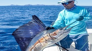 Pesca de Torneo Panamericano en PANAMA [upl. by Hooge]