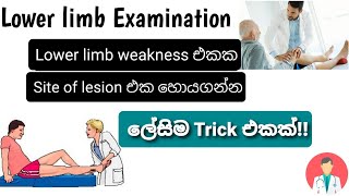 Lowe limb examination  Neurology  site of lesion එක හොයගන්න නියම ක්‍රමයක් [upl. by Ranique]