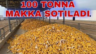 100 TONNA MAKKA SOTILADI 998884610505 [upl. by Grover]