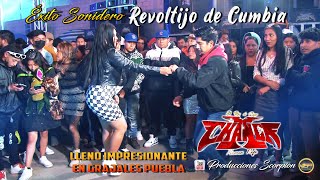 Sonido la Changa 🦍 Revoltijo de Cumbia 🕴🏼‍ Éxito Sonidero 💥 [upl. by Carolann]