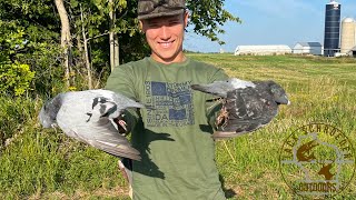 Wisconsin Dove and Pigeon Hunt [upl. by Yoshiko]