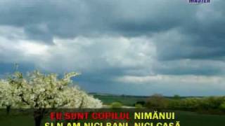 Cantece populare romanesti  Sami canti cobzar  Karaoke [upl. by Nnylear]