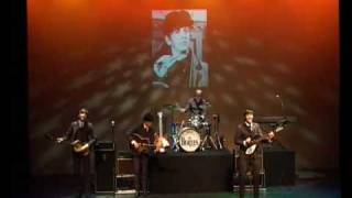 The Beatles Revival Live In Franeker 2008 1 [upl. by Dittman]