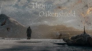 Thorin Oakenshield [upl. by Kwang]