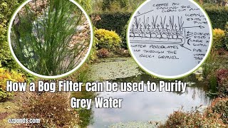 Using a Bog Filter to Purify Grey Water [upl. by Elletnuahs]