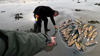 Washington State Clam Digging Expert Tips and Tricks from Friendly Locals A Razor Clam Feast [upl. by Alemak]