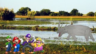 Wario amp Friends Dies By Southern Swamp White Rhinoceros While Getting Lost In The Wetlands [upl. by Arted384]