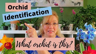 Orchid Identification The 5 Most Common Orchids for Beginners [upl. by Mackenie]