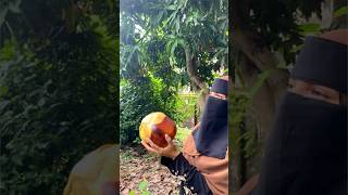 Palm fruit food hijab cooking recipe cook fruit [upl. by Nickelsen]