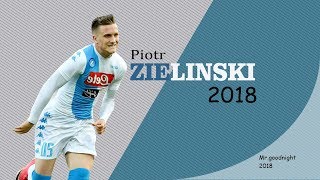 Piotr Zieliński Skills amp Goals  Napoli  20172018 [upl. by Baerman441]