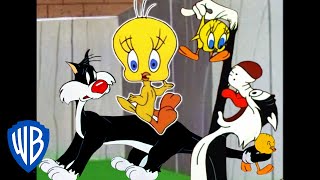 Looney Tunes  I Taut I Taw a Putty Tat  Classic Cartoon Compilation  WB Kids [upl. by Alsworth]