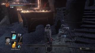 Dark Souls 3  Hawkwood Lords Dialogue [upl. by Anaes]