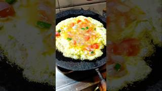 अंडे का टेस्टी शानदार आमलेटदेखते ही बनाने का मन करेगाSimple and Easy Masalafood Omelette Recipe [upl. by Atsira250]