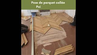 Tereny Rénovation parquet pose Point de Hongrie tereny rénovation parquet pointdehongrie [upl. by Rehportsirhc499]