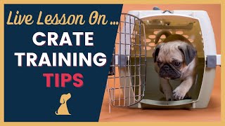 Crate Training Tips for New Puppy Owners [upl. by Brubaker]