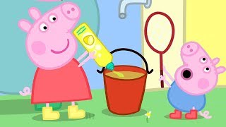 Peppa Pig and George Pig Play With Bubbles  Peppa Pig Official Family Kids Cartoon [upl. by Warder]