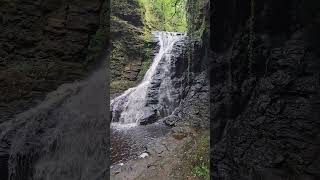 Actively Northumberland  Hareshaw Linn Waterfall shortsvideo shorts short waterfall shortsfeed [upl. by Ecaidnac]