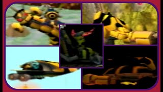 Buck Bumble  All Boss Encounters  No Damage [upl. by Ladnor]