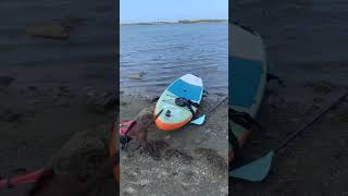 ANGLESEY Camping Costal Path Paddle Boarding and Beach Walk with Dog  Roz shorts [upl. by Hassin]