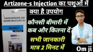 Artizones Injection Ka Kya Upyog Ha  Artizones इंजेक्शन का पशुओं में उपयोग [upl. by Dusa557]