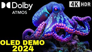 2024 OLED Demo Dolby Atmos Revolutionizes TV Audio with Heart Pounding Sound [upl. by Atiruam358]