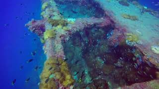 SS Yongala Wreck Scuba Diving Great Barrier Reef Australia Oct 2021 [upl. by Ronyam]