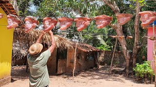 O preparo do peixe até colocar ele pra secar passo a passo [upl. by Eicak]