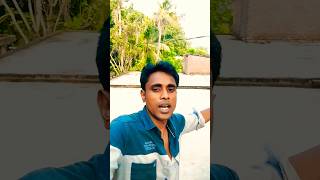 বুবু আইবা vairal gan song officialrazibulsong reels banglagan funny love [upl. by Acirrehs]