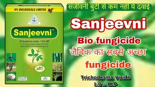 IPL SANJEEVNI BIO FUNGICIDETrichoderma Viride 10 WPbio fungicide sanjeevani [upl. by Abate549]