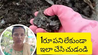 ఆకులతో వర్మి కంపోస్ట్ SPGarden28199 garden yt [upl. by Royal508]