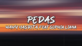 Wany Hasrita  Pedas feat Sophia Liana Lirik [upl. by Cohberg]