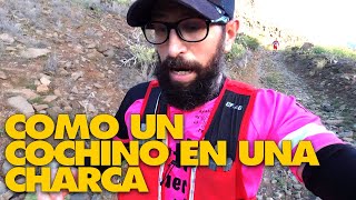 Gozando en la Transgrancanaria 2021 🏔🏃 [upl. by Anana]