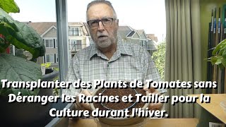 Faire pousser des Tomate et Concombres en Hiver au Québec [upl. by Anderson]