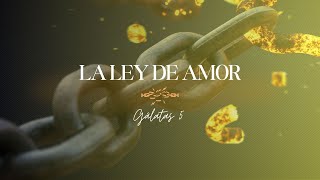 138  La ley del amor [upl. by Peddada]