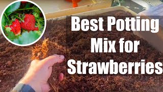 What is the Ideal Potting Mix for Strawberries [upl. by Azeria]