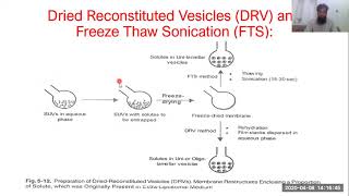 Processing methods and Solvent Dispersion Liposomes [upl. by Airual]