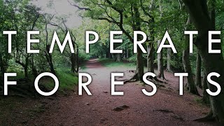 The Temperate Forest Biome  Biomes6 [upl. by Ayahc]